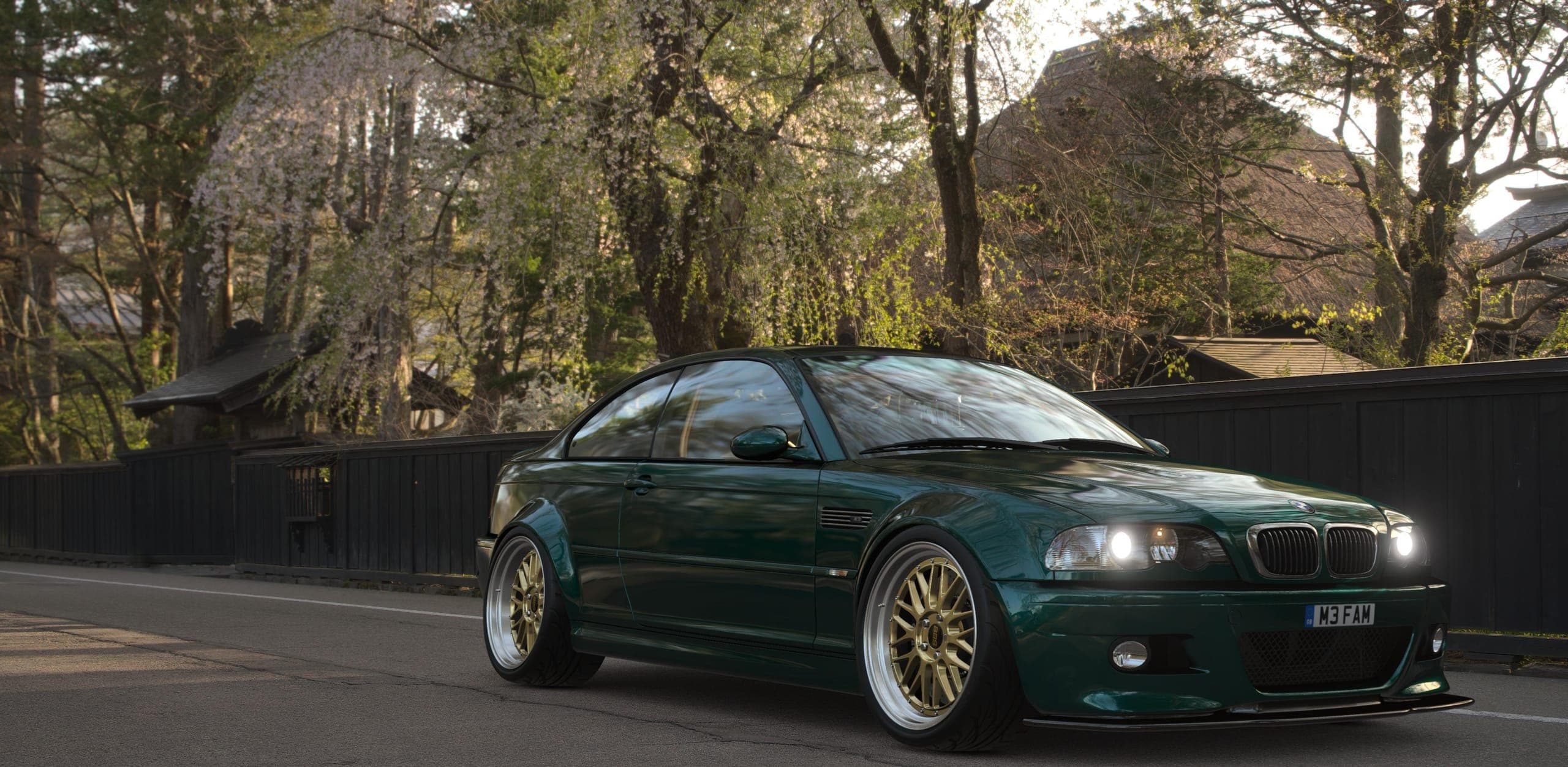 A BMW E46 M3 coupe parked on a tree-lined street
